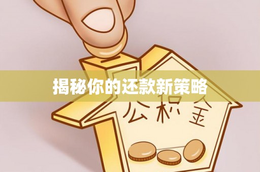 通城揭秘你的还款新策略