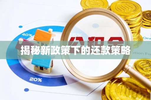 通城揭秘新政策下的还款策略