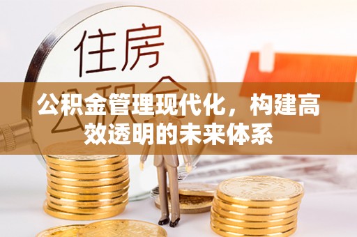 通城公积金管理现代化，构建高效透明的未来体系