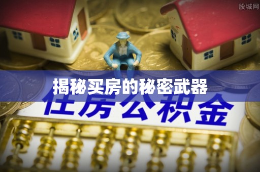 通城揭秘买房的秘密武器