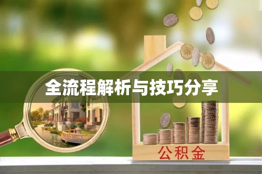 通城全流程解析与技巧分享