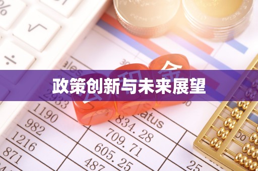通城政策创新与未来展望
