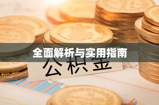 通城全面解析与实用指南