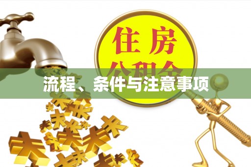 通城流程、条件与注意事项